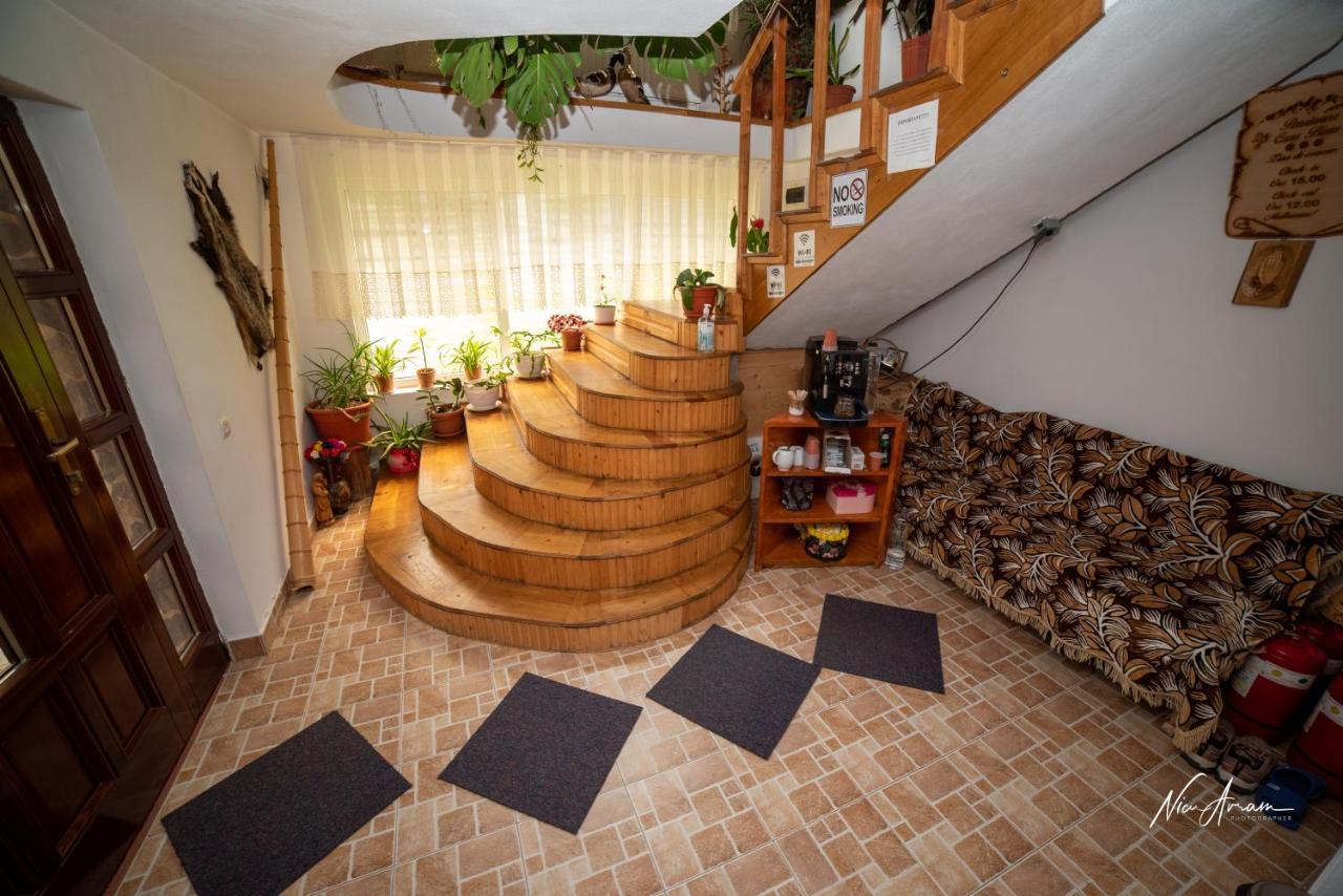 מלון אריסני Casa Binu מראה חיצוני תמונה